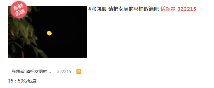张凯毅 请把女厕的马桶取消吧